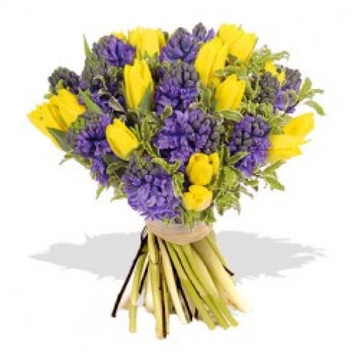 Great Yellow Tulips w/ Purple Flower